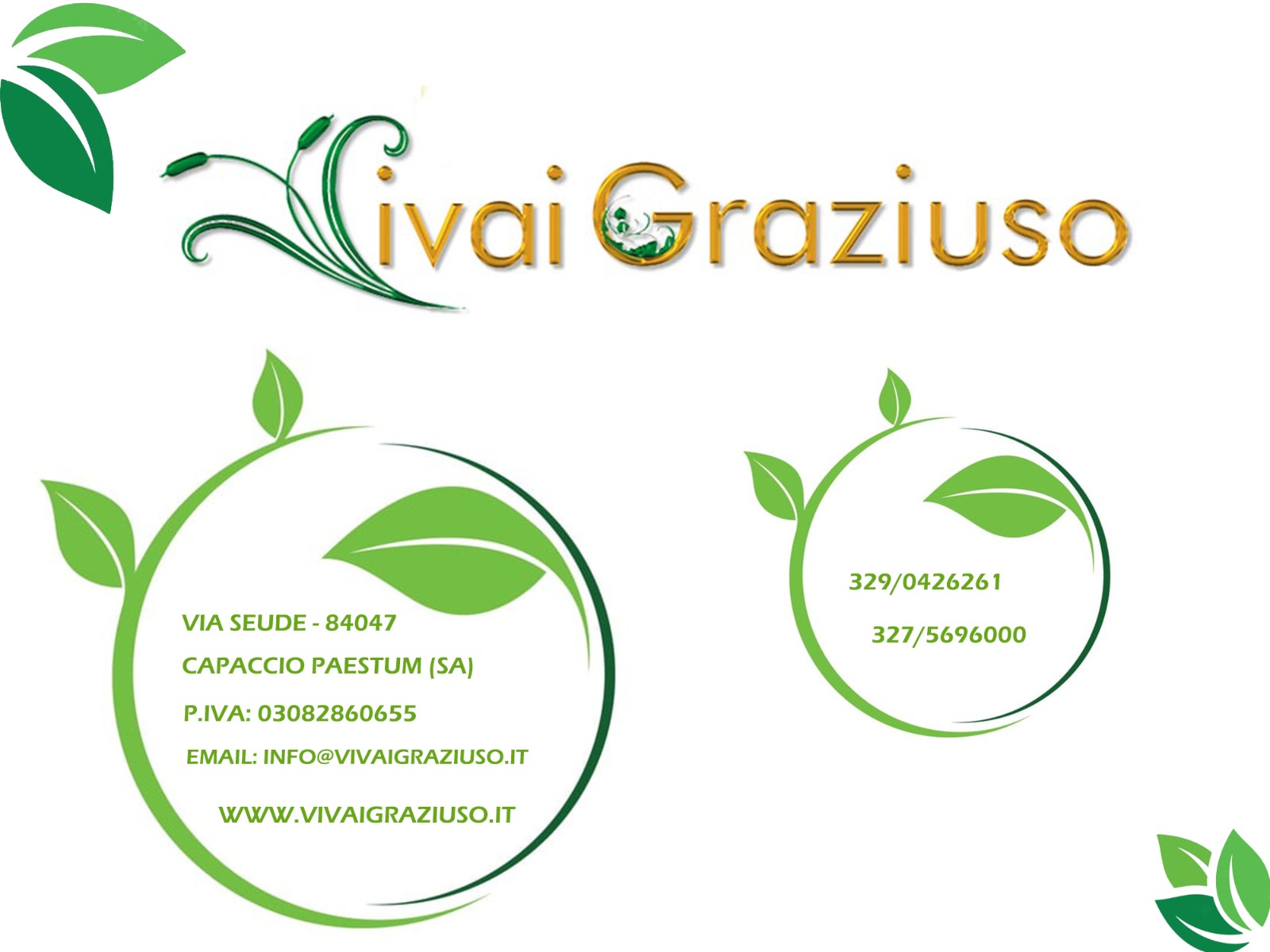Immagine Centrata